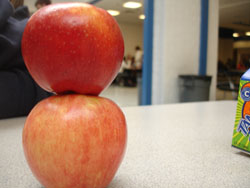 School Lunches Undergo New Regulations