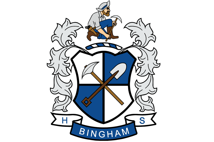 An Open Letter to Bingham
