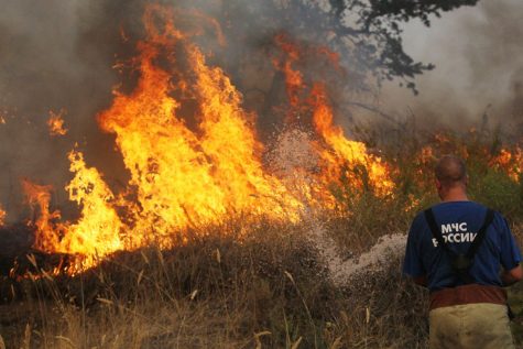 Through the Fire and the Flames