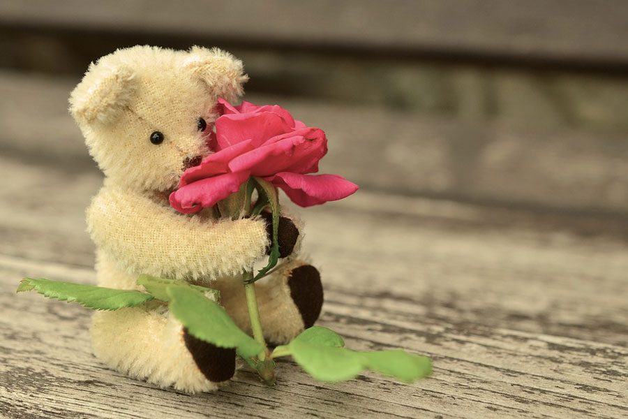 teddy bear and rose