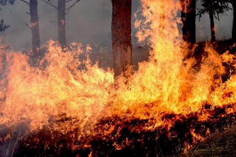 A fire rages through Custer State Park, S.D., Dec. 13, 2017. No one has been injured in the fire that has currently consumed more than 55 square miles, however, five homes in the park have been evacuated and one unused building was destroyed. (U.S. Air Force photo by Airman 1st Class Donald C. Knechtel)