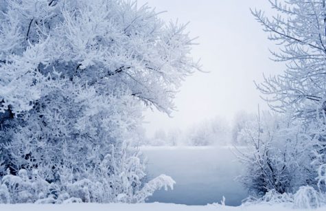 Winter break should be longer