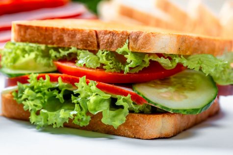 Which Sandwich is the Best?