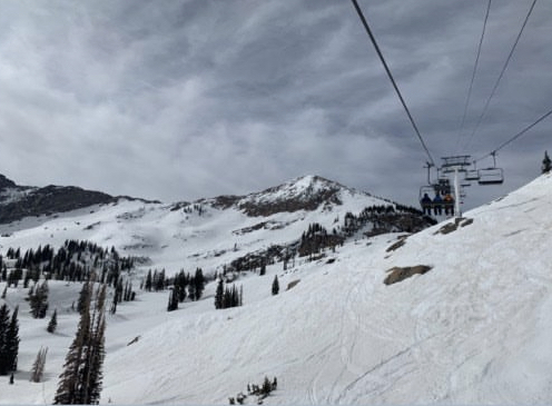 Alta ski slopes taken from Sugarloaf chair lift

Photo Credit: Syd Alexander